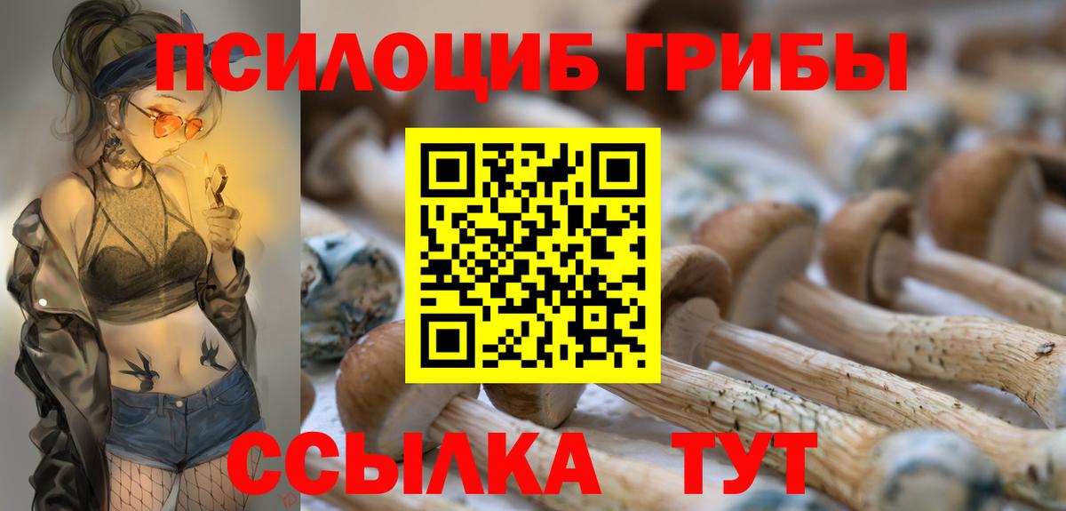Галлюциногенные грибы ЛСД Лобня