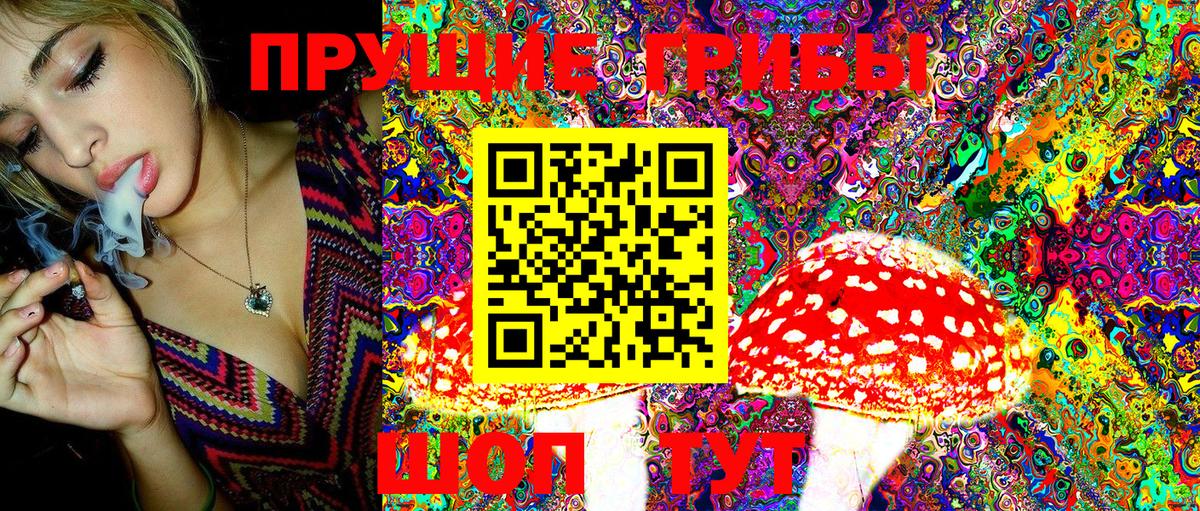 Псилоцибиновые грибы ЛСД  Вход с VPN  Лобня  цены   Псилоцибиновые грибы MAGIC MUSHROOMS 